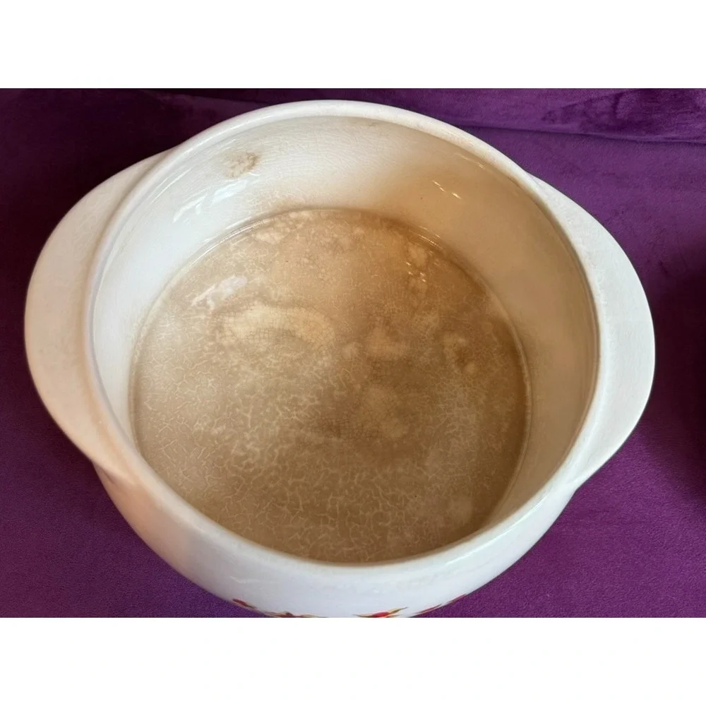 Vtg Universal Cambridge Bitter Sweet Berries Oven Proof Covered Casserole Pot